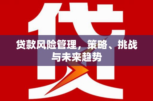 罗山贷款风险管理，策略、挑战与未来趋势