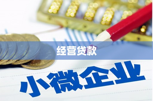 罗山经营贷款