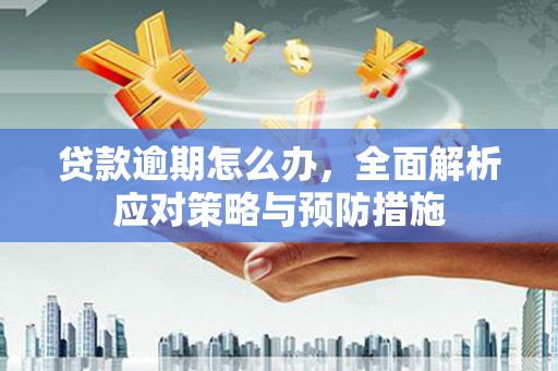 罗山贷款逾期怎么办，全面解析应对策略与预防措施