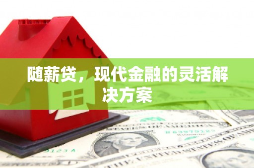 罗山随薪贷，现代金融的灵活解决方案