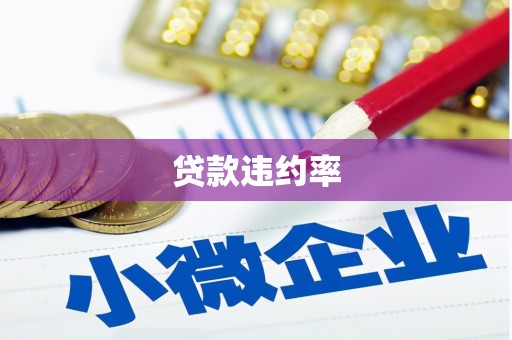 罗山贷款违约率