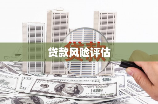 罗山贷款风险评估