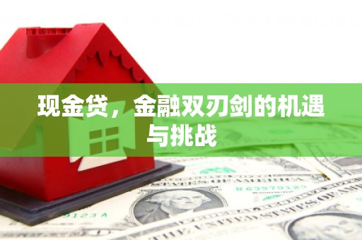罗山现金贷，金融双刃剑的机遇与挑战