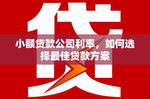 罗山小额贷款公司利率，如何选择最佳贷款方案