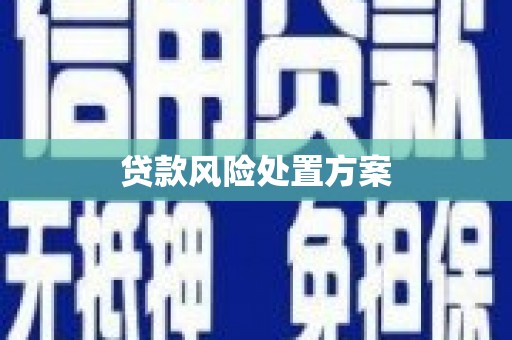 罗山贷款风险处置方案
