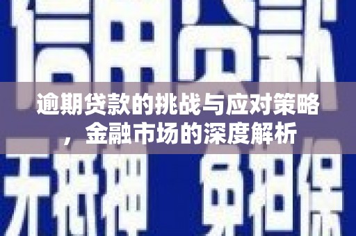 罗山逾期贷款的挑战与应对策略，金融市场的深度解析