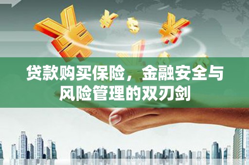 罗山贷款购买保险，金融安全与风险管理的双刃剑