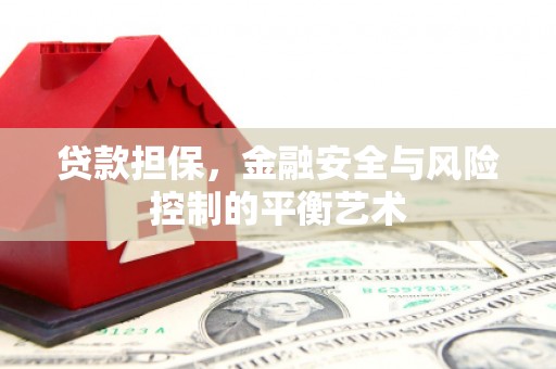 罗山贷款担保，金融安全与风险控制的平衡艺术