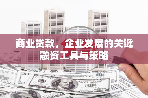 罗山商业贷款，企业发展的关键融资工具与策略