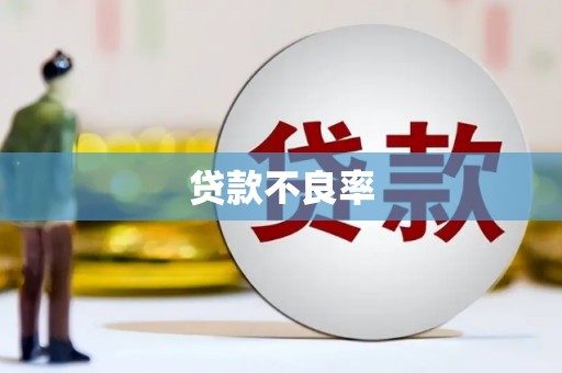 罗山贷款不良率