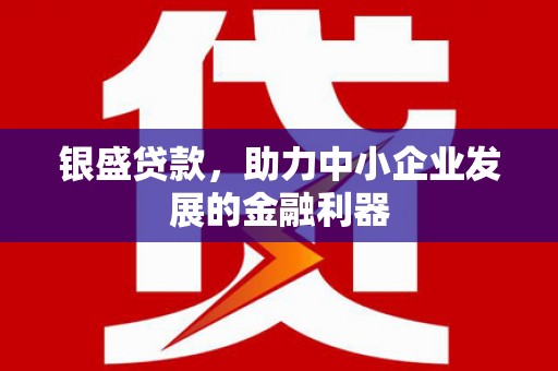 罗山银盛贷款，助力中小企业发展的金融利器