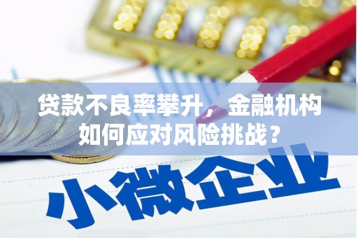 罗山贷款不良率攀升，金融机构如何应对风险挑战？