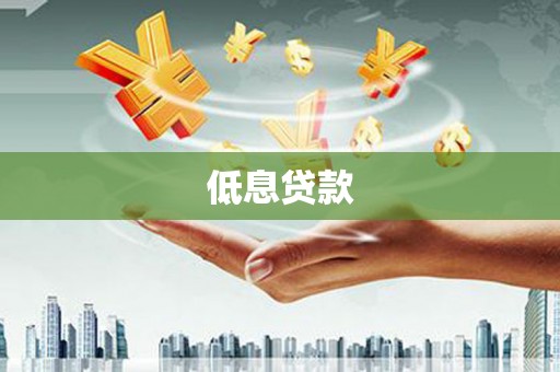 罗山低息贷款
