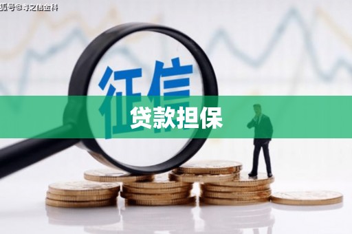 罗山贷款担保