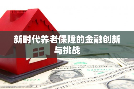 罗山新时代养老保障的金融创新与挑战