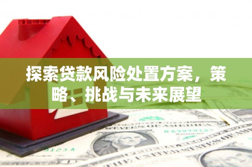 罗山探索贷款风险处置方案，策略、挑战与未来展望