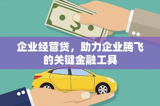 罗山企业经营贷，助力企业腾飞的关键金融工具