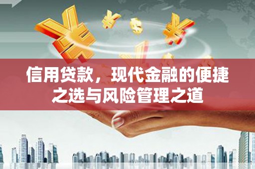 罗山信用贷款，现代金融的便捷之选与风险管理之道
