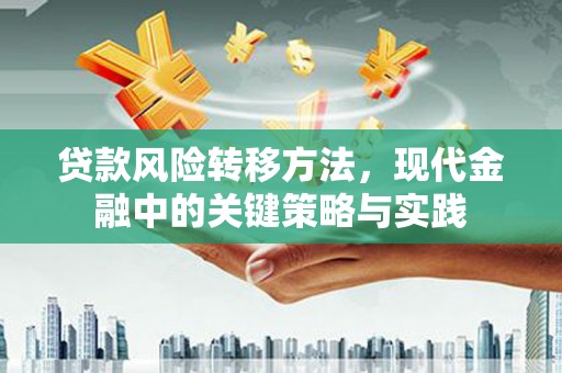 罗山贷款风险转移方法，现代金融中的关键策略与实践