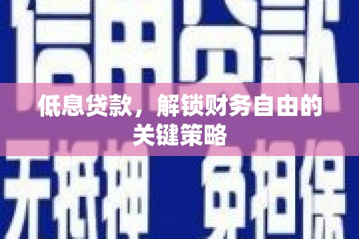 罗山低息贷款，解锁财务自由的关键策略