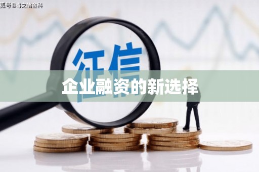 罗山企业融资的新选择