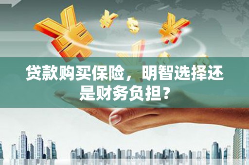 罗山贷款购买保险，明智选择还是财务负担？