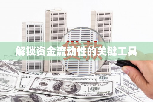 罗山解锁资金流动性的关键工具