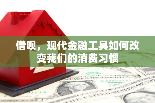 罗山借呗，现代金融工具如何改变我们的消费习惯