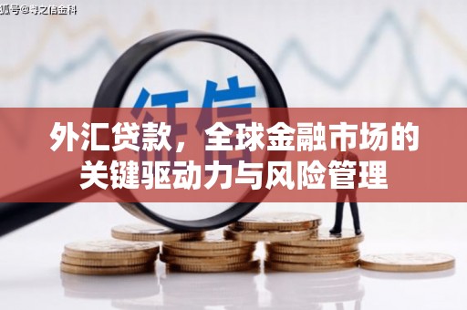 罗山外汇贷款，全球金融市场的关键驱动力与风险管理