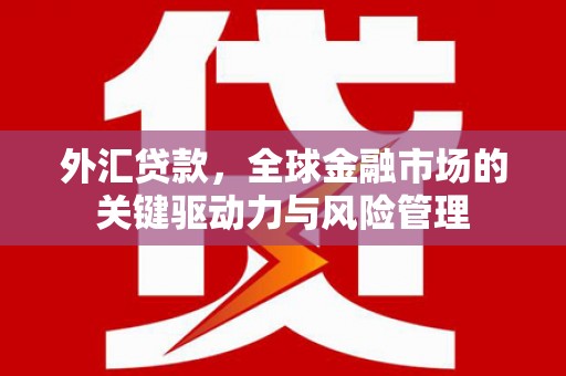 罗山外汇贷款，全球金融市场的关键驱动力与风险管理