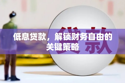 罗山低息贷款，解锁财务自由的关键策略