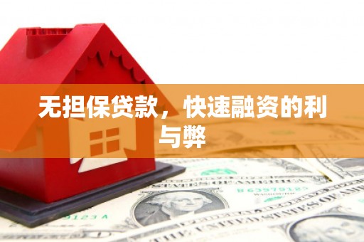 罗山无担保贷款，快速融资的利与弊