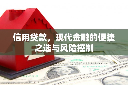 罗山信用贷款，现代金融的便捷之选与风险控制