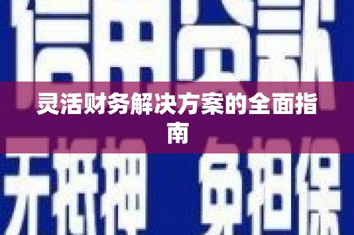 罗山灵活财务解决方案的全面指南