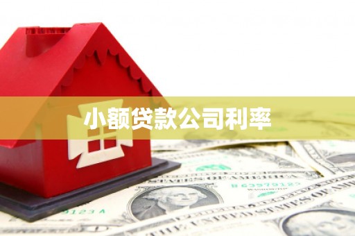 罗山小额贷款公司利率