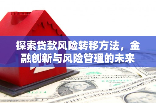 罗山探索贷款风险转移方法，金融创新与风险管理的未来