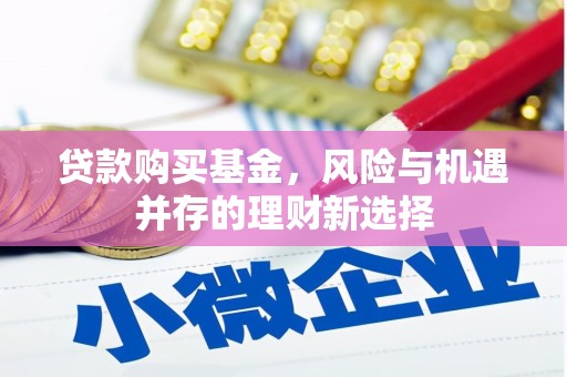 罗山贷款购买基金，风险与机遇并存的理财新选择
