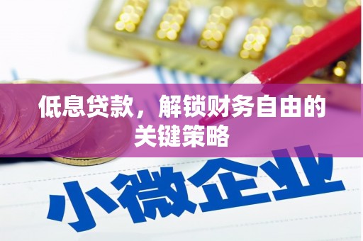 罗山低息贷款，解锁财务自由的关键策略
