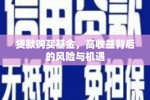 罗山贷款购买基金，高收益背后的风险与机遇