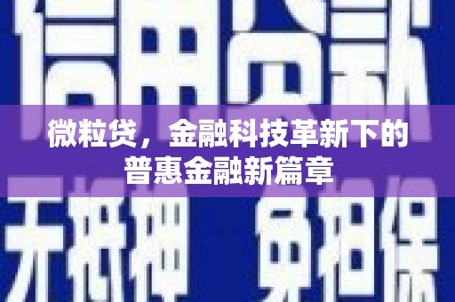 罗山微粒贷，金融科技革新下的普惠金融新篇章