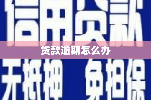 罗山贷款逾期怎么办