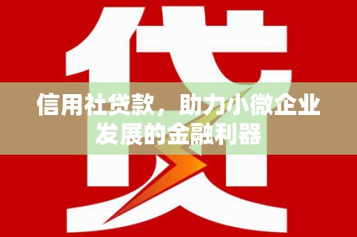 罗山信用社贷款，助力小微企业发展的金融利器