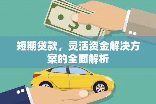 罗山短期贷款，灵活资金解决方案的全面解析