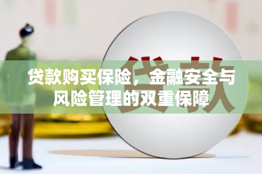罗山贷款购买保险，金融安全与风险管理的双重保障