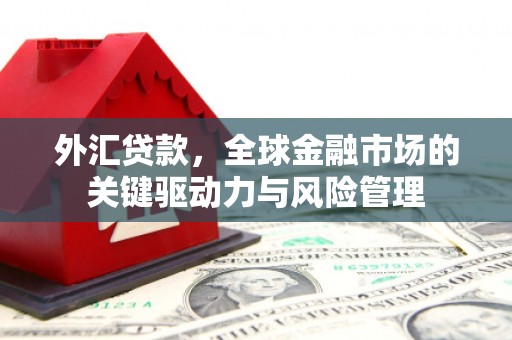 罗山外汇贷款，全球金融市场的关键驱动力与风险管理