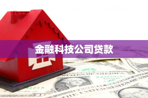 罗山金融科技公司贷款