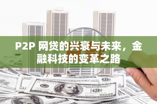 罗山P2P 网贷的兴衰与未来，金融科技的变革之路