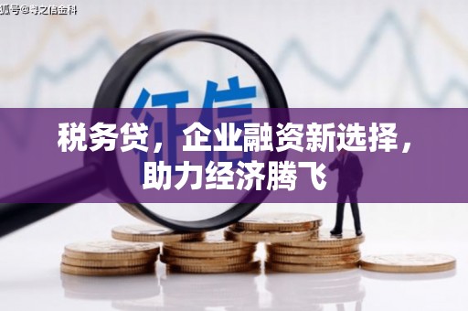 罗山税务贷，企业融资新选择，助力经济腾飞