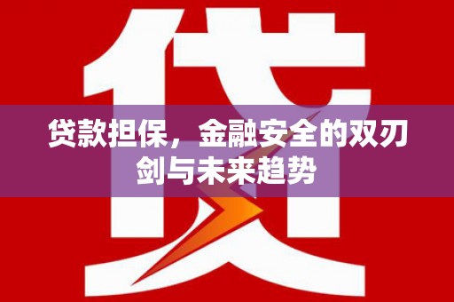 罗山贷款担保，金融安全的双刃剑与未来趋势