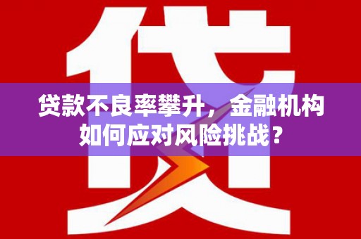 罗山贷款不良率攀升，金融机构如何应对风险挑战？